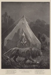 Weihnachtsnacht in Westafrika, ein ungebetener Gast